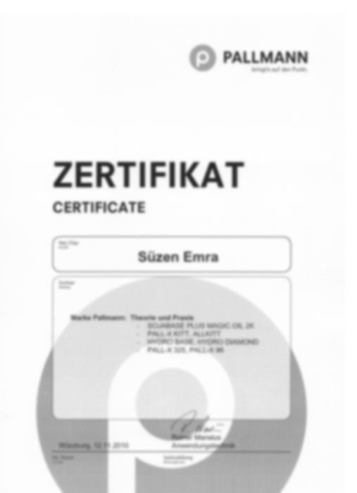 Zertifikat Pallmann Schulung, Emrah Süzen