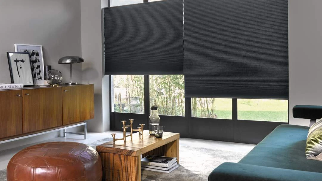 Modernes Wohnzimmer mit dunklen Duette-Wabenplissees an großer Fensterfront